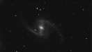 FOR_NGC 1365_2024-12-28_LT6ACF_SV505C_230x30sec-bin2-g100-o10_B_56Mly